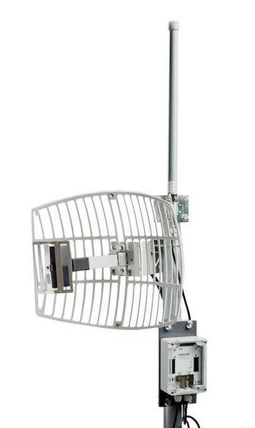 �o�����^��W-REPEATER�o��Ӎ̖(h��o)�Ŵ����^��