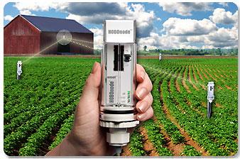 如何使用HOBO記錄儀無(wú)線遠(yuǎn)程監(jiān)控測(cè)試土壤溫濕度墑情監(jiān)測(cè)系統(tǒng)