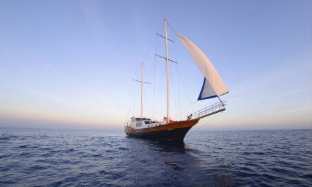 ף�R�҇��ɹ������׿��pģʽ���Ì�(d��o)�����_�����(n��i)��Ͷ���Ј�